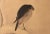 Tan 1920s Late Meiji to Early Showa Japanese Watercolor Scroll "The Crow and the Snow" For Sale - Image 8 of 12