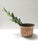 1950s Round Embossed Copper Vase in the style of Egidio Casagrande, Italy, 1950s For Sale - Image 5 of 11