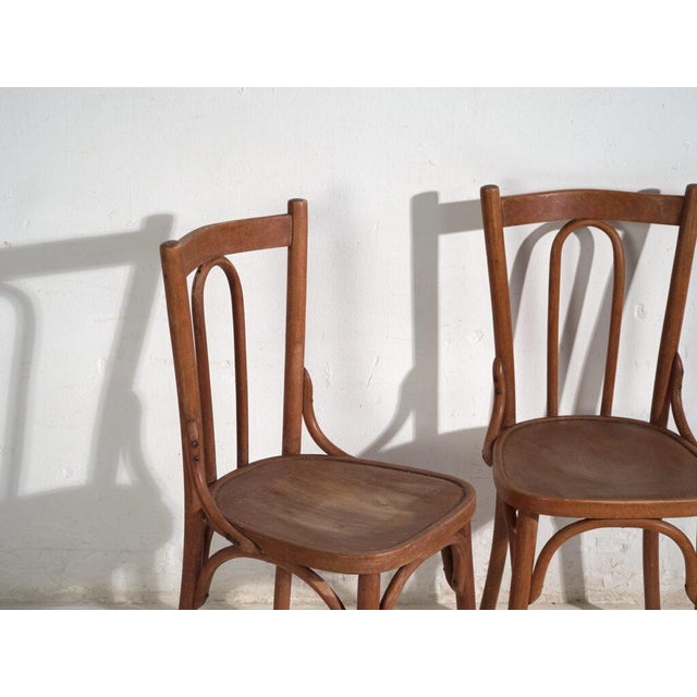 Antique Bentwood Chairs, Central Europe, 1900s, Set of 6 For Sale - Image 5 of 16
