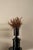 Amphora Mini Vase in Polished Aluminum by Caspal For Sale - Image 4 of 8