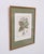Elisabeth Haussard, Plant Illustrations, 1780, Engravings, Framed, Set of 2 For Sale - Image 10 of 16