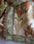 Pair of Vintage Curtains Art Nouveau Style For Sale - Image 14 of 15