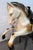 Mid 20th Century Vintage Mechanical Coin-Operated Powered Children's Ride-on Horse For Sale - Image 5 of 17