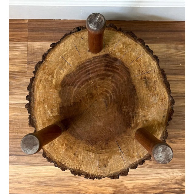 Wood Vintage Raw Live Edge Wood Tree Trunk Slab Stool/ Table/ Plant Stand For Sale - Image 7 of 13