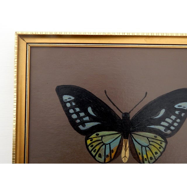 Matt Rix, Naive Style Butterfly Specimen in Blue and Green, 2000s, Oil Painting, Framed For Sale - Image 3 of 10