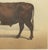 Borie, Flemish Ox, French Cattle Breed, 1863, Chromolithograph For Sale - Image 6 of 9