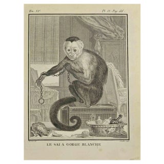 Juste Chevillet, Le Saia Gorge Blanche, Etching, 1771 For Sale