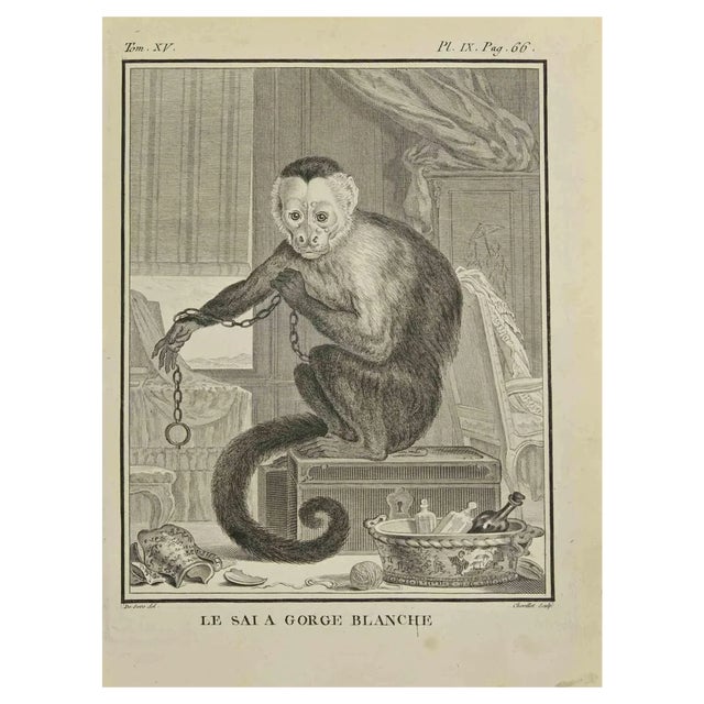 Juste Chevillet, Le Saia Gorge Blanche, Etching, 1771 For Sale