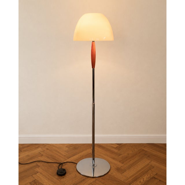 Menelao Terra Floor Lamp by Ernesto Gismondi for Artemide, 1980s For Sale - Image 10 of 10