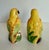 Late 20th Century Vintage Ceramic Tropical Bird Salt and Pepper Shakers For Sale - Image 5 of 8
