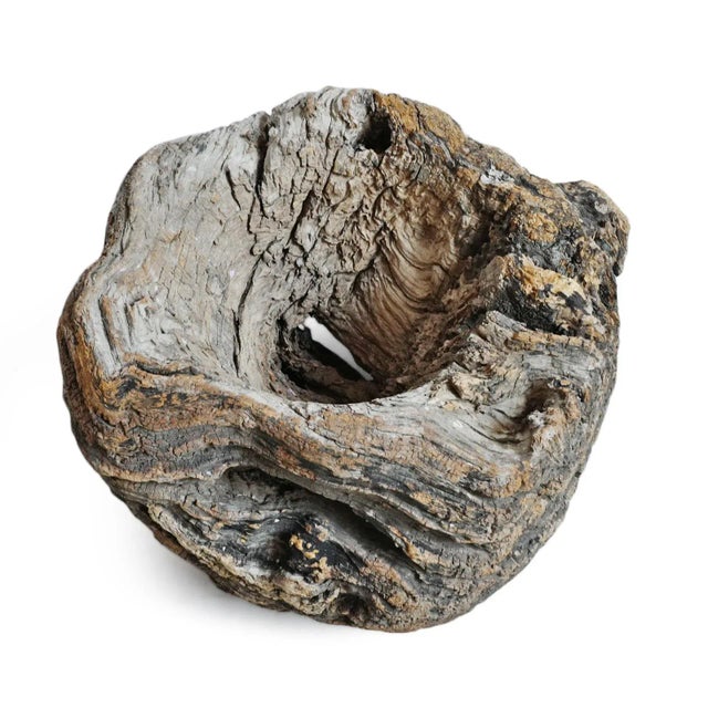 Rustic Mid 20th Century Old India Burl Wood Bowl For Sale - Image 3 of 8