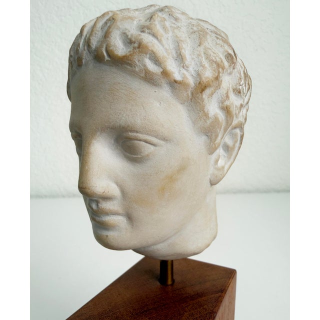 Mid 20th Century Vintage Bust of Roman Emperor Augustus on Wood Base For Sale - Image 5 of 9