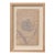 Floral Study IV by Afsoon Thayer For Sale