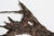 Mid-Century Wall Sculpture by Pia Manu, Belgium 1960s For Sale - Image 9 of 11