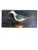 1900 American Folk Art Wood Carved Seagull on Board For Sale - Image 9 of 9