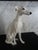 Italian Vintage Porcelain Whippet For Sale - Image 3 of 5