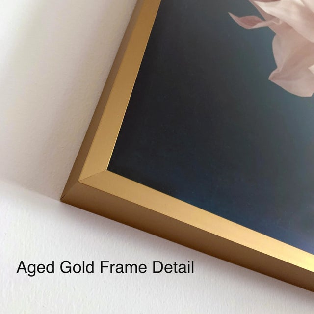 Not Yet Made - Made To Order "No. 259" Contemporary Botanical Photograph by Erin Derby, Framed For Sale - Image 5 of 6