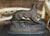 French Antique French Bronze Dog Sculpture by Pierre Jules Mene For Sale - Image 3 of 3