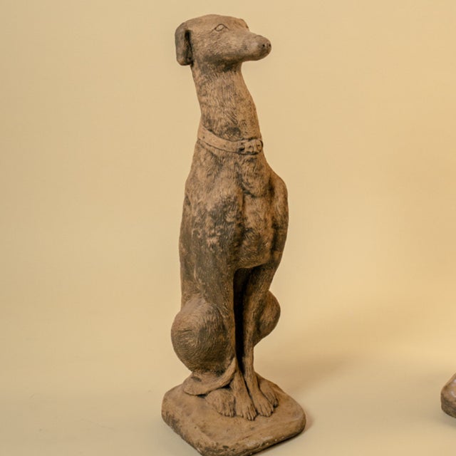 Seated greyhound sculpture made of stone. This elegant decorative piece captures the grace and nobility of the breed....