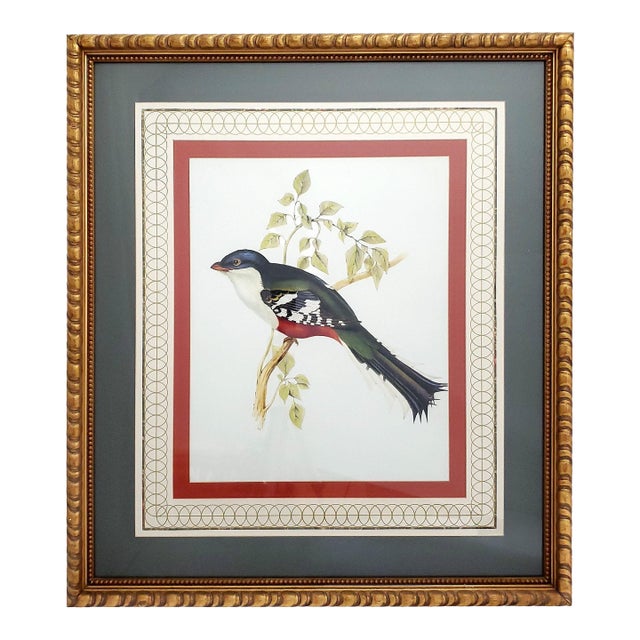 Print Large Bird Reproduction Signed John-Richards For Sale
