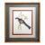 Print Large Bird Reproduction Signed John-Richards For Sale