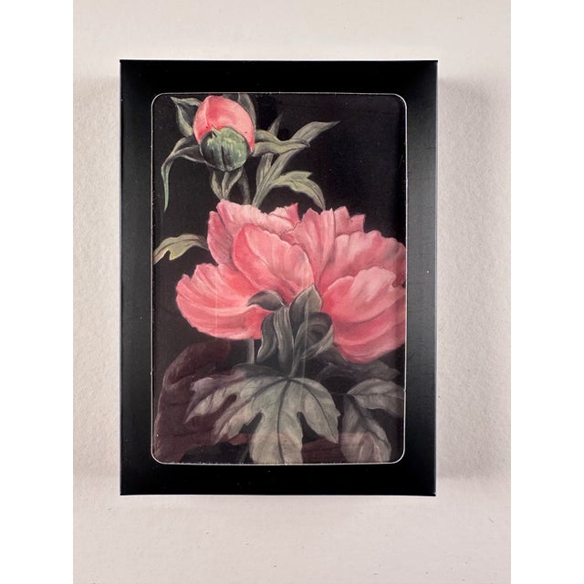 I have been doing drawings of flora and fauna for many years. A client of mine, who owns several of my pastel drawings,...