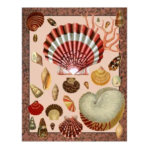 "Coquille " Maximalist Shell Collage Print