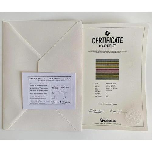 Bernhard Lang, AV_Solar_Plants_008, Fine Art Photograph Print For Sale - Image 7 of 8