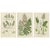 Interrupted Club Moss, Marsh Club Moss and Alpine Club Moss Botanicals Prints, 1873, Set of 3 For Sale - Image 9 of 9