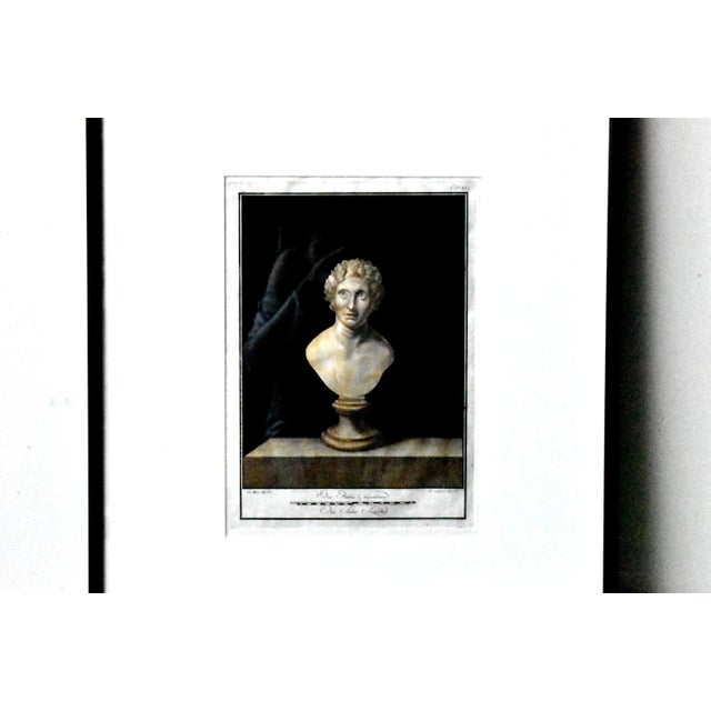 Antique Greek Bust Sculpture Engravings by Nicolas Vanni - a Pair For Sale - Image 4 of 13