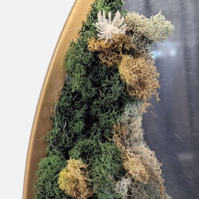 Natural preserved moss varieties. Dimensions (in): 28W x 0D x 28H.