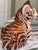 Mid 20th Century Vintage Made in Italy Terra Cotta Tiger Cub For Sale - Image 5 of 13