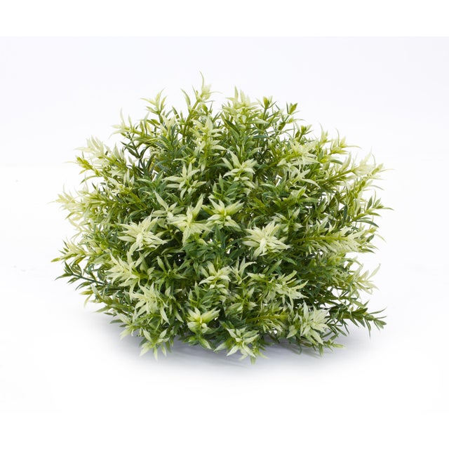 2020s Varigated Mini Leaf Half Orb (Set of 6) For Sale - Image 5 of 5