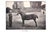 Traditional "Ponies Past and Present" 1900 Gilbey, Sir Walter Bart. For Sale - Image 3 of 6
