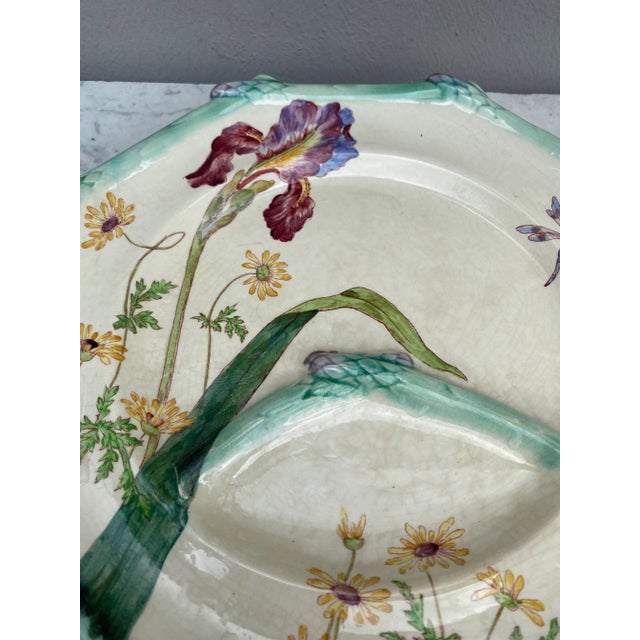 Longchamp 19th French Majolica Asparagus Plate Iris Longchamp For Sale - Image 4 of 9