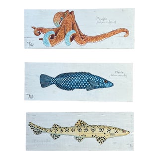 Vintage French Sea Life Paintings on Wood Panels - Set of 3 For Sale