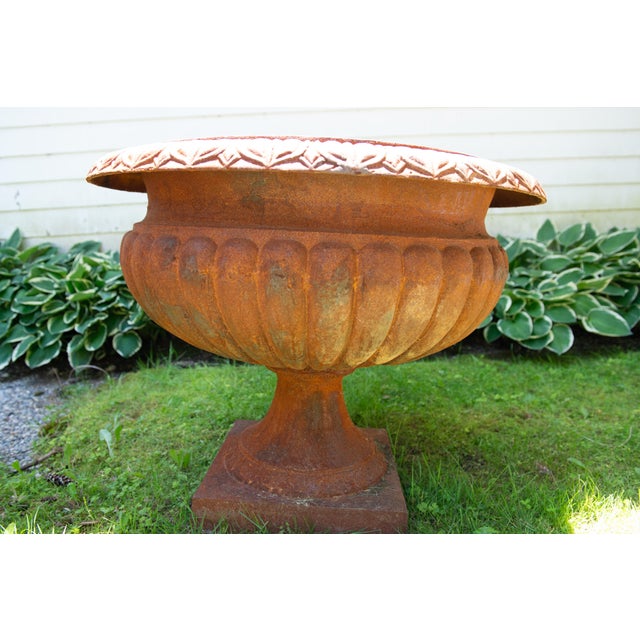 19th Century Pair Monumental Cast Iron Urn Planters For Sale - Image 5 of 9