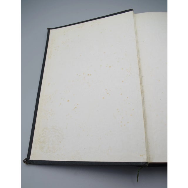 Antiquarian French Mushrooms: Les Champignons For Sale - Image 10 of 11