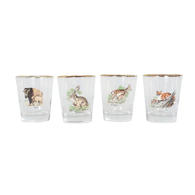 A set of four mid-century glass tumblers. Decorated with American wildlife and their young including Buffalo, a Snowshoe...