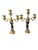 This fine antique pair of french louis xv style gilt and patinated bronze candelabra date from the 19th century. Detailed...
