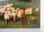 R. Salino, Flock at the Lake, Oil on Panel For Sale - Image 10 of 12