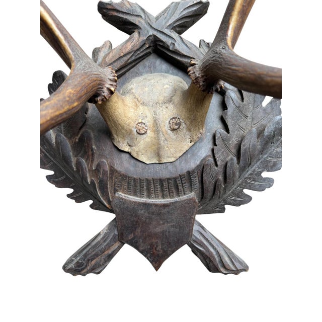 Large Black Forest Trophy Antler Mount on Carved Wood Plaque For Sale - Image 4 of 5