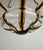 Murano Glass Pendant Lamp by Toni Zuccheri, 1970s For Sale - Image 6 of 18