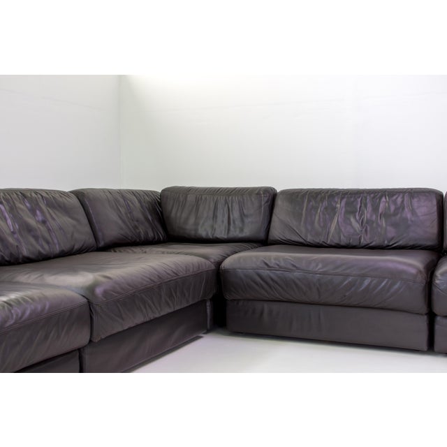 Wood DS-76 Modular Leather Sofa from de Sede, 1990s, Set of 5 For Sale - Image 7 of 18