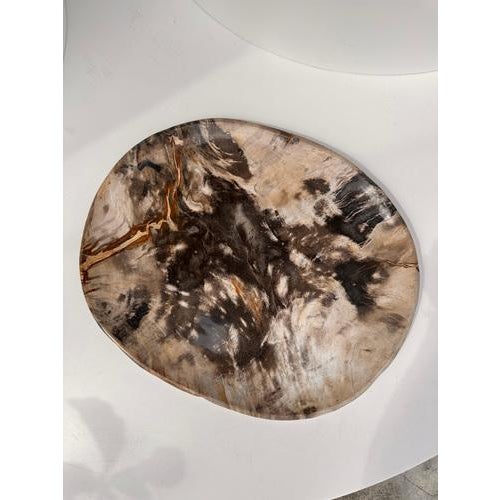 Very Large Vide-Poche or Dish in Petrified Wood For Sale - Image 10 of 18