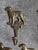 Antique Brass Wildlife Sporting Wall Hooks, Cabin Mudroom Architectural Hardware - Set of 5 For Sale - Image 4 of 16