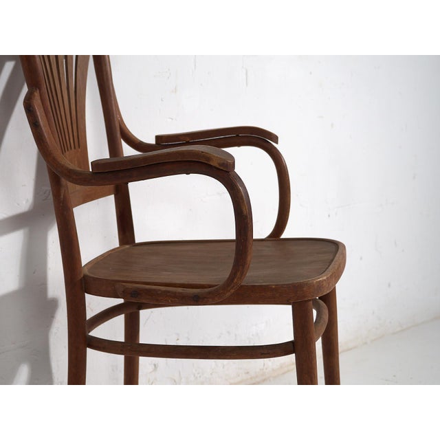 1920s Vintage Bentwood Office Chair, 1920 For Sale - Image 5 of 10