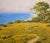 David Chapple -Poppy Fields & Wildflowers Overlooking the Pacific Ocean-Oil Painting For Sale - Image 4 of 10