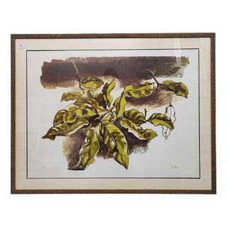 Renato Guttuso, Leaves, Print, Framed For Sale