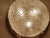 Vintage Murano Glass Flush Light from Hillebrand, 1970s For Sale - Image 12 of 18